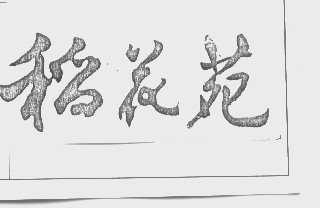 稻花苑