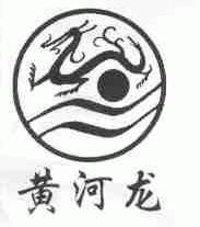 黄河龙