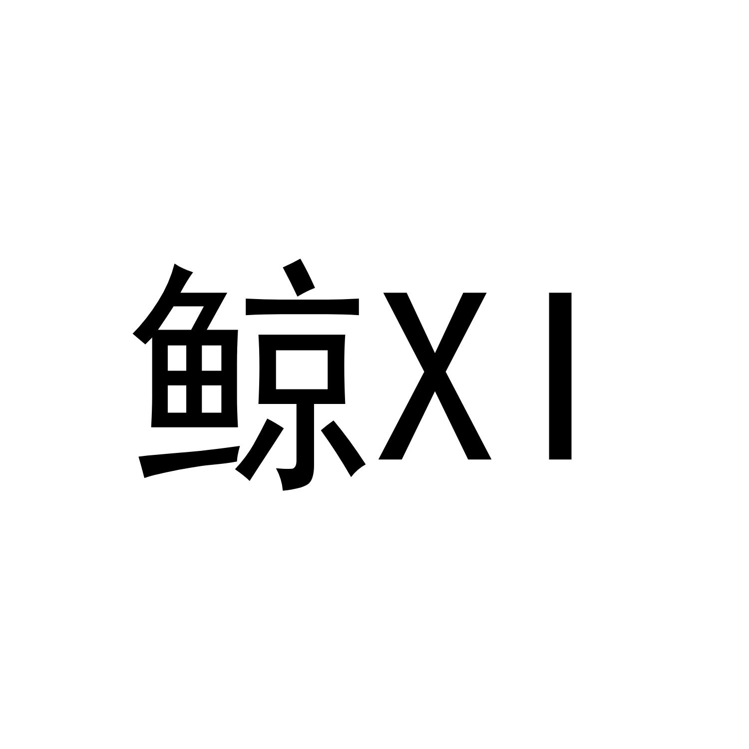 鲸XI