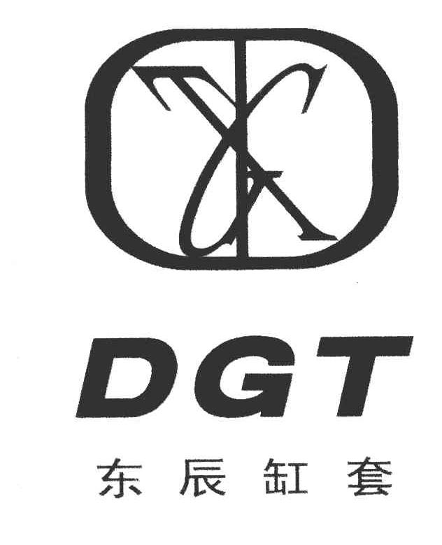 东辰缸套 DGT