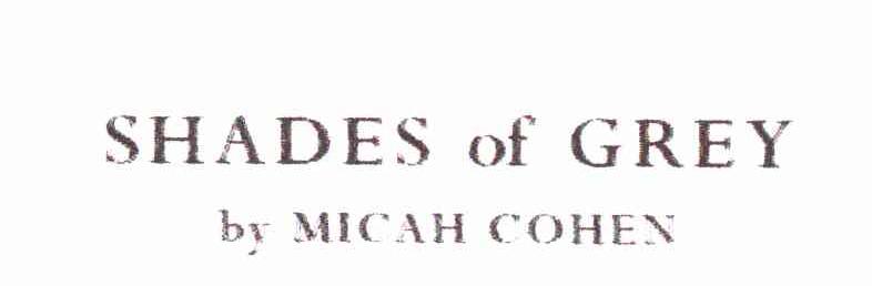 SHADES OF GREY BY MICAH COHEN