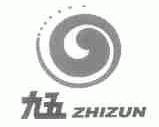 九五;ZHIZUN