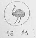 鸵鸟