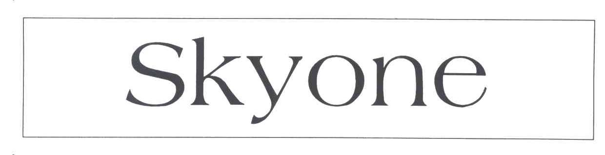 SKYONE