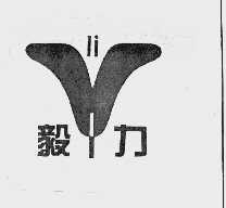 毅力