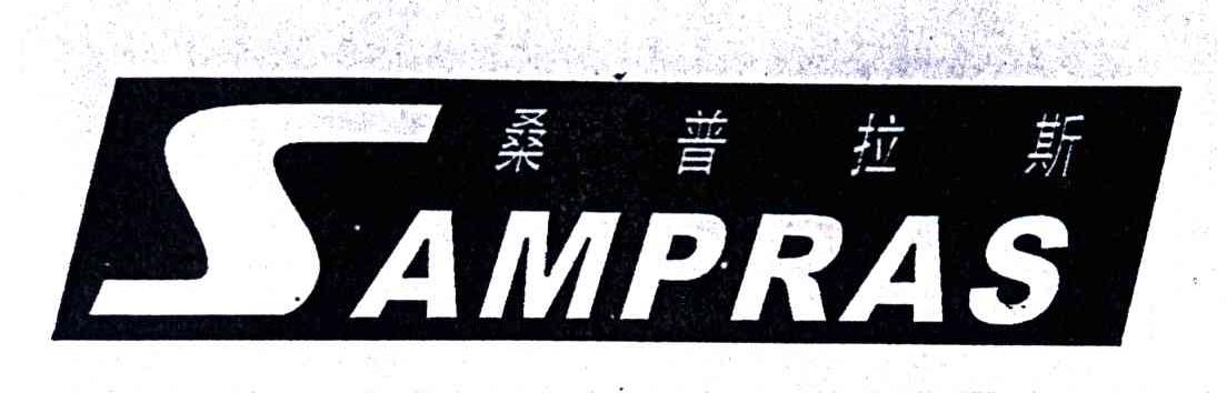 桑普拉斯;SAMPRAS