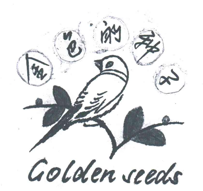 金色的种子;GOLDEN SEEDS
