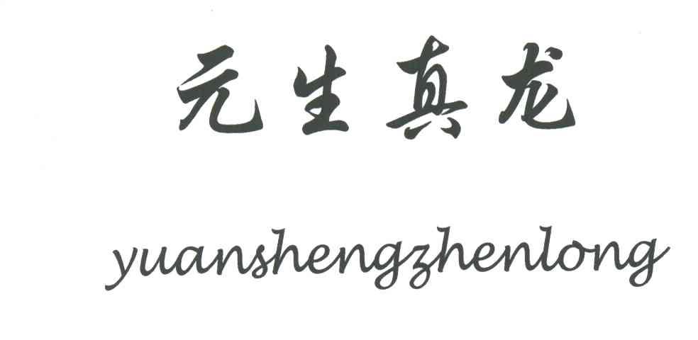 元生真龙
