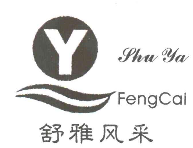 舒雅风采及图