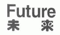 FUTURE;未来