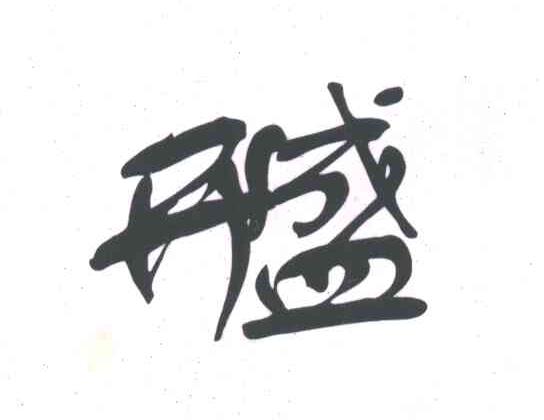 开盛