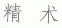 精术