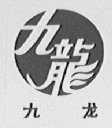 九龙