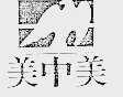 美中美