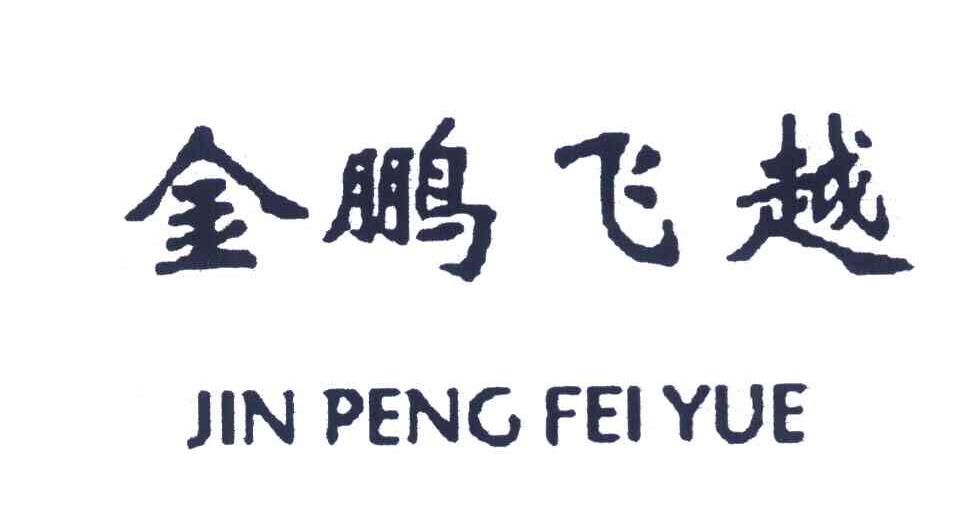 金鹏飞越