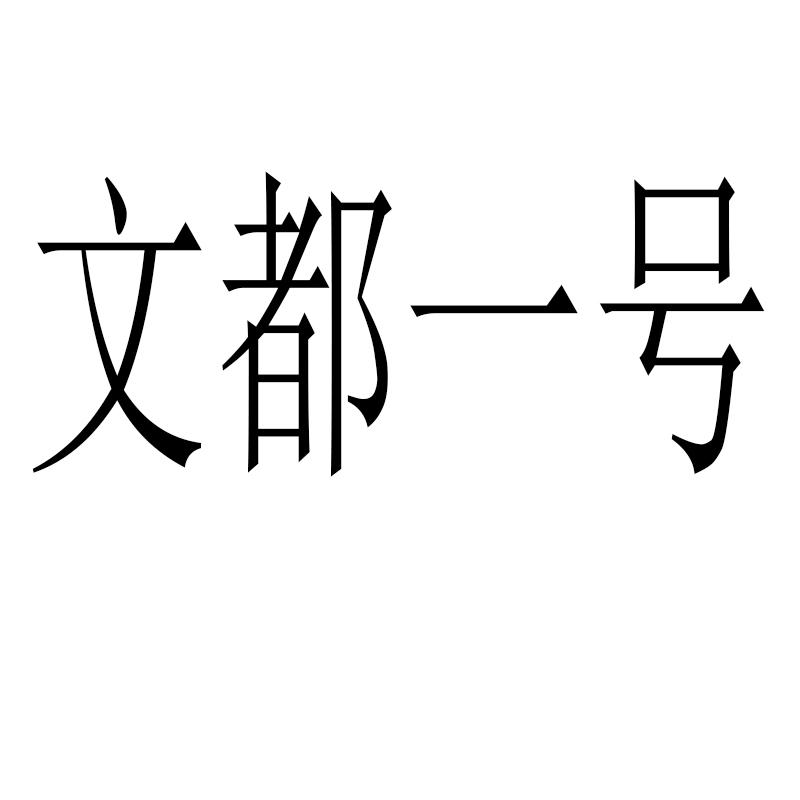文都一号