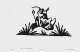 图形