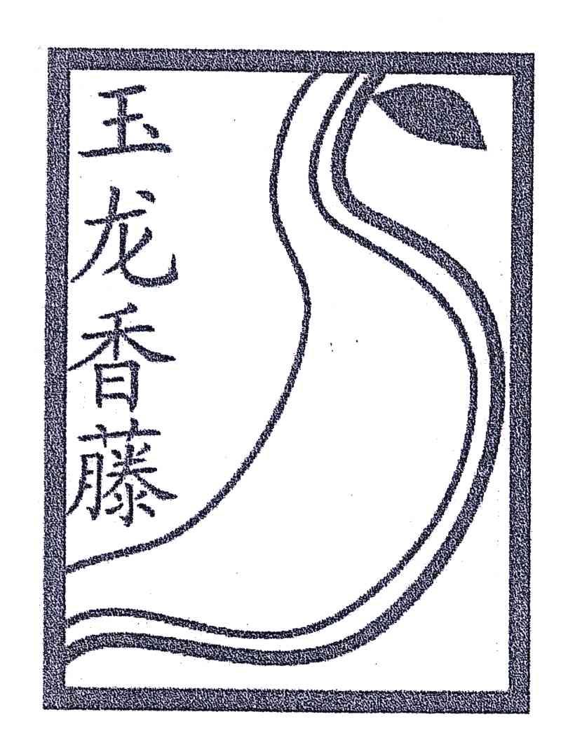 玉龙香藤