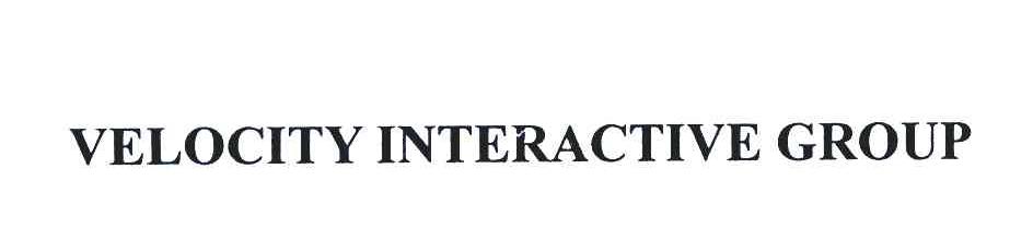 VELOCITY INTERACTIVE GROUP