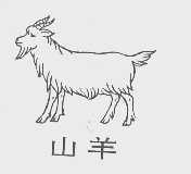 山羊