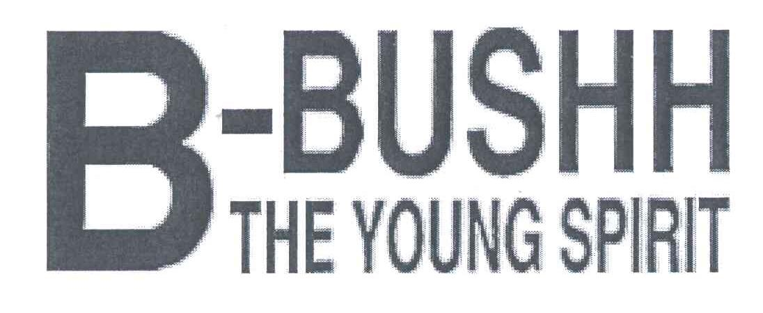 B BUSHH THE YOUNG SPIRIT