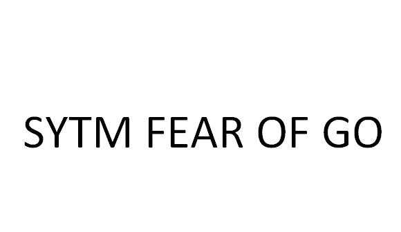 SYTM FEAR OF GO