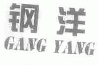 钢洋
