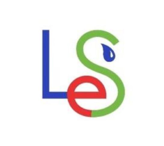 LES