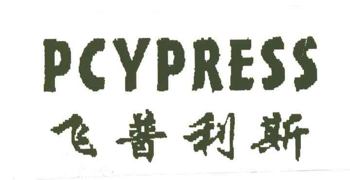 飞普利斯;PCYPRESS