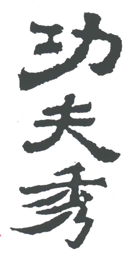 功夫秀;
