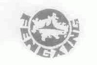 FENGXING