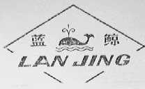 蓝鲸