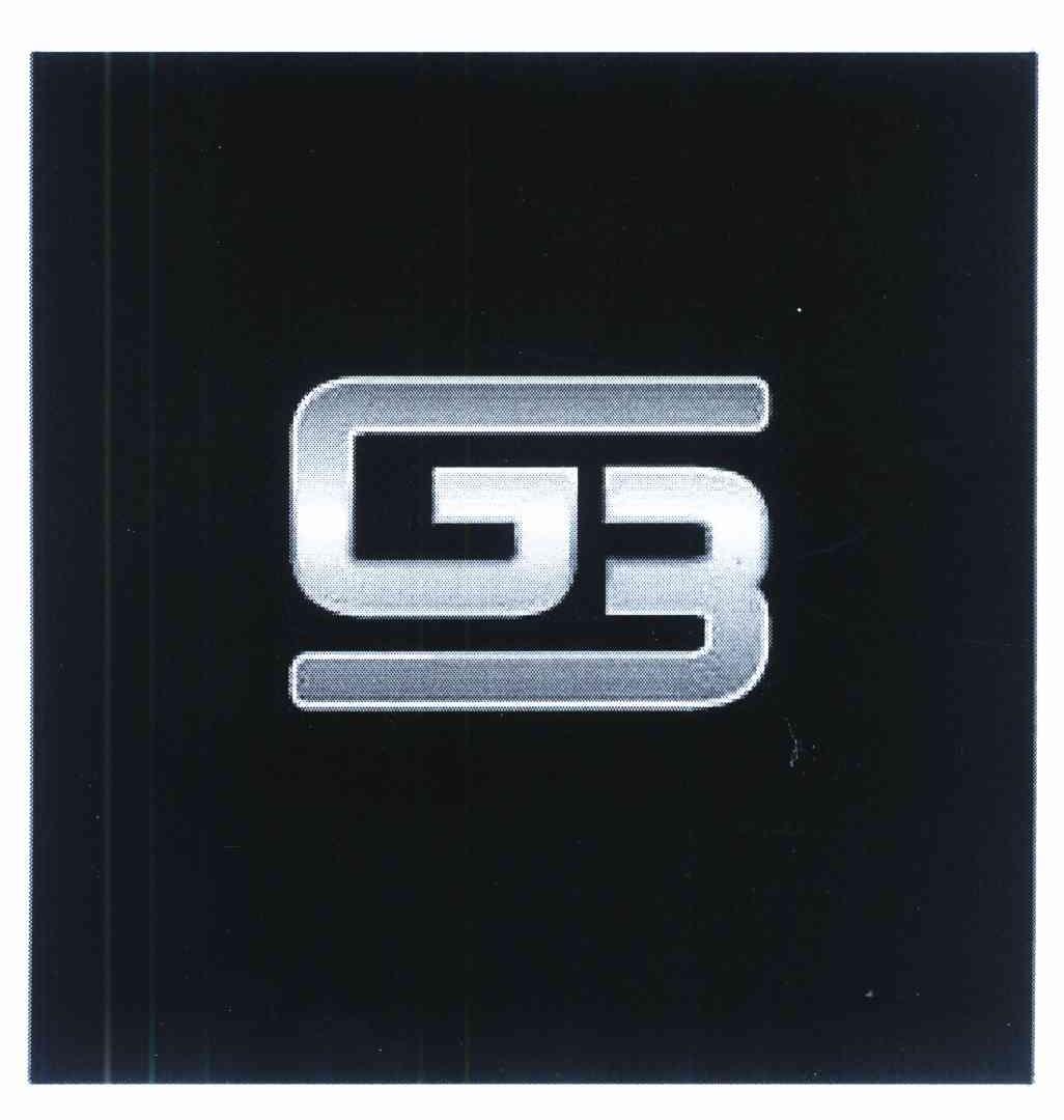 G 3
