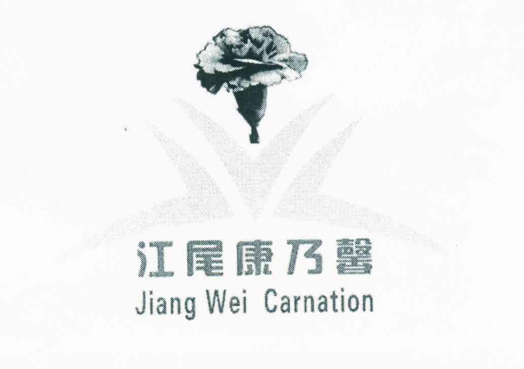 江尾康乃馨 JIANG WEI CARNATION