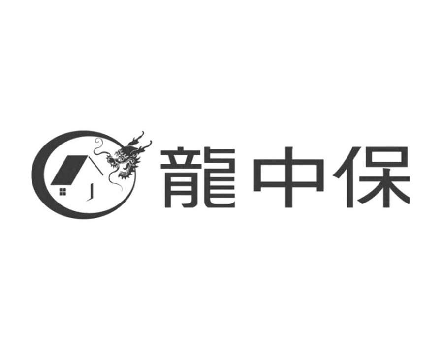 龙中保