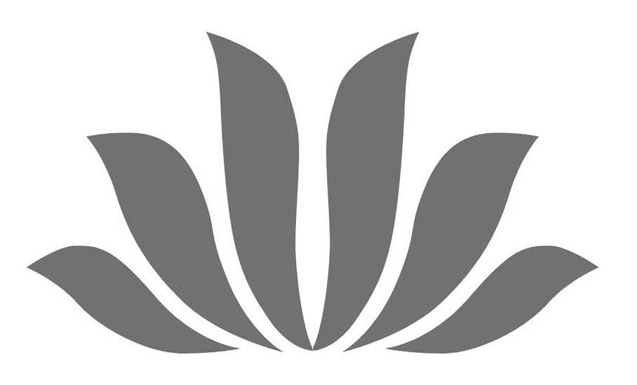 图形