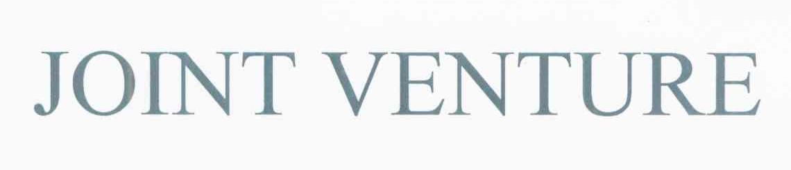 JOINT VENTURE