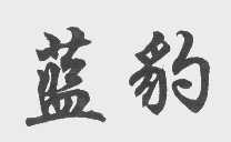 蓝豹