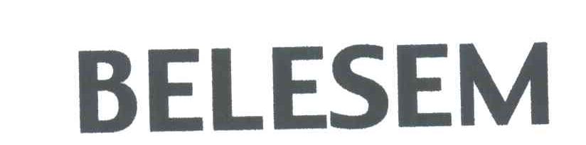 BELESEM