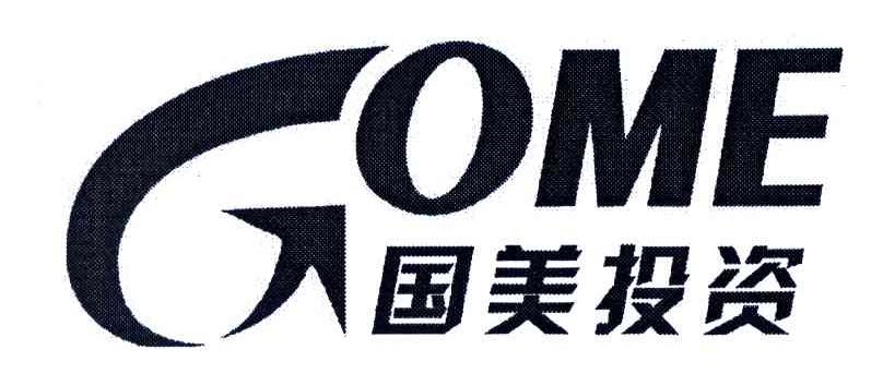 国美投资;GOME