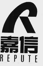 嘉信   REPUTE
