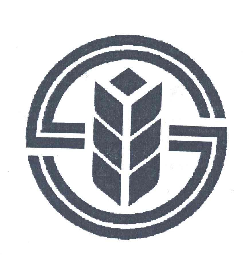 图形