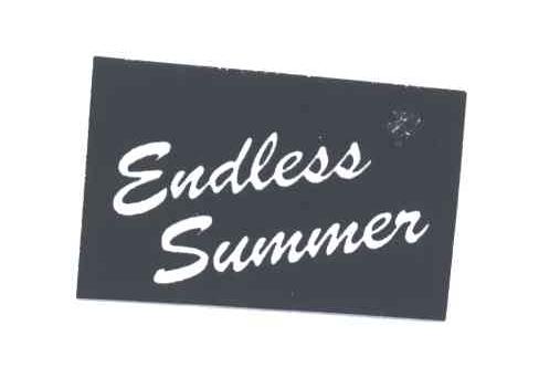 ENDLESS SUMMER