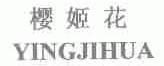 樱姬花