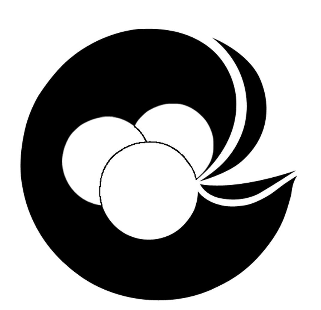 图形