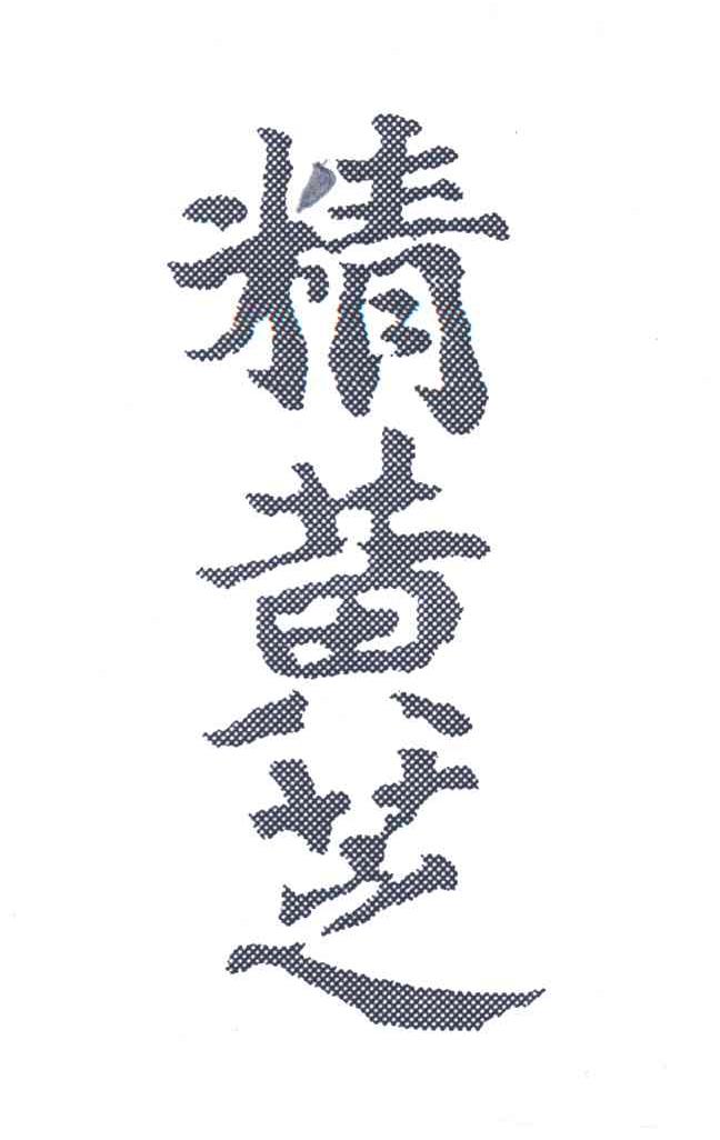 精黄芝