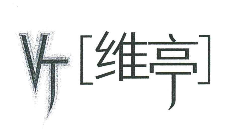 维亭;VT