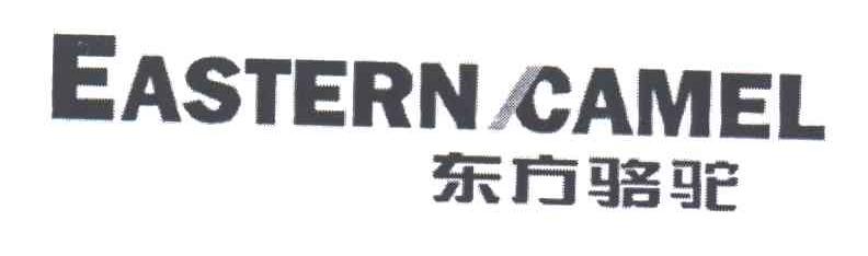 EASTERN CAMEL;东方骆驼