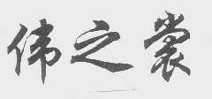 伟之裳