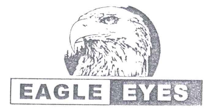EAGLE EYES